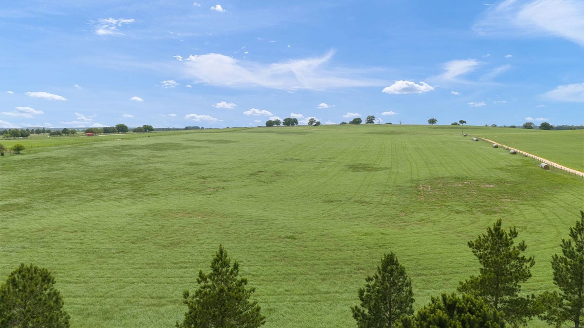 View 245 Country Lane Tract 2 10 Acres in Mitchell, Thomas 245 Country Lane Tract 2 10 Acres - front exterior - Luxury lot in Mitchell, Thomas, McDade, TX