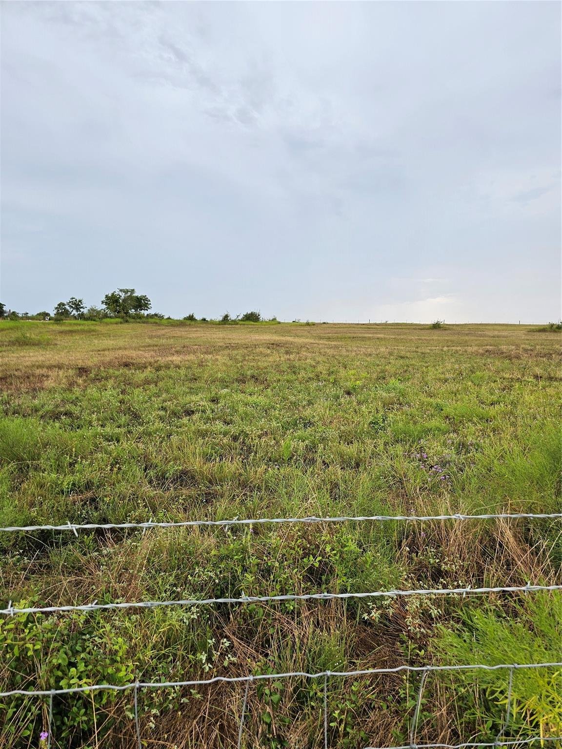 Primary bedroom at 2501  County Road 305 - Jarrell ISD Vacant Land, Jarrell, TX