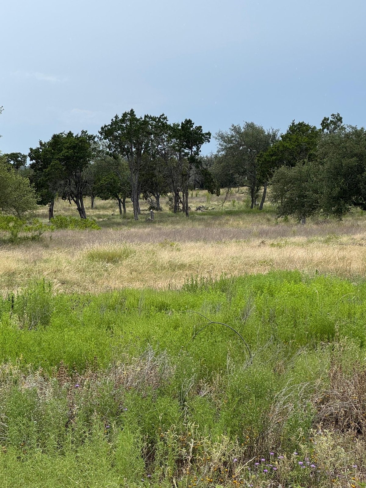 View 251 Pioneer Trl in Pioneer Ranch Sec 1 251 Pioneer Trl - front exterior - Luxury lot in Pioneer Ranch Sec 1, Dripping Springs, TX