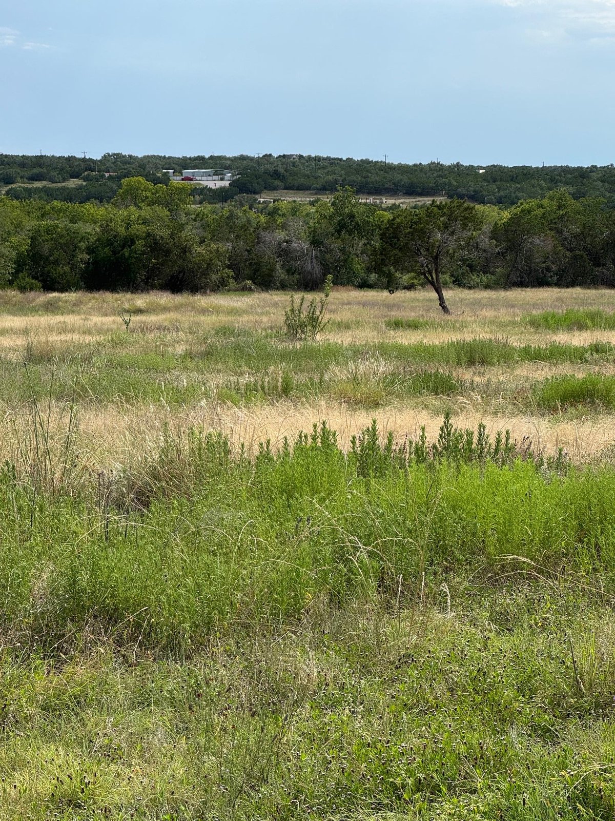 Primary bedroom at 251 Pioneer Trl - Pioneer Ranch Sec 1, Dripping Springs, TX
