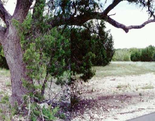 View 251 Quarterhorse 251 Quarterhorse - front exterior - Luxury lot in Liberty Hill, TX