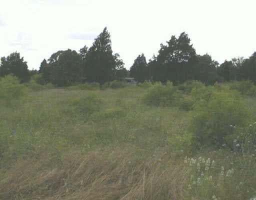 View 2556 Fm 2104 2556 Fm 2104 - front exterior - Luxury lot in Paige, TX