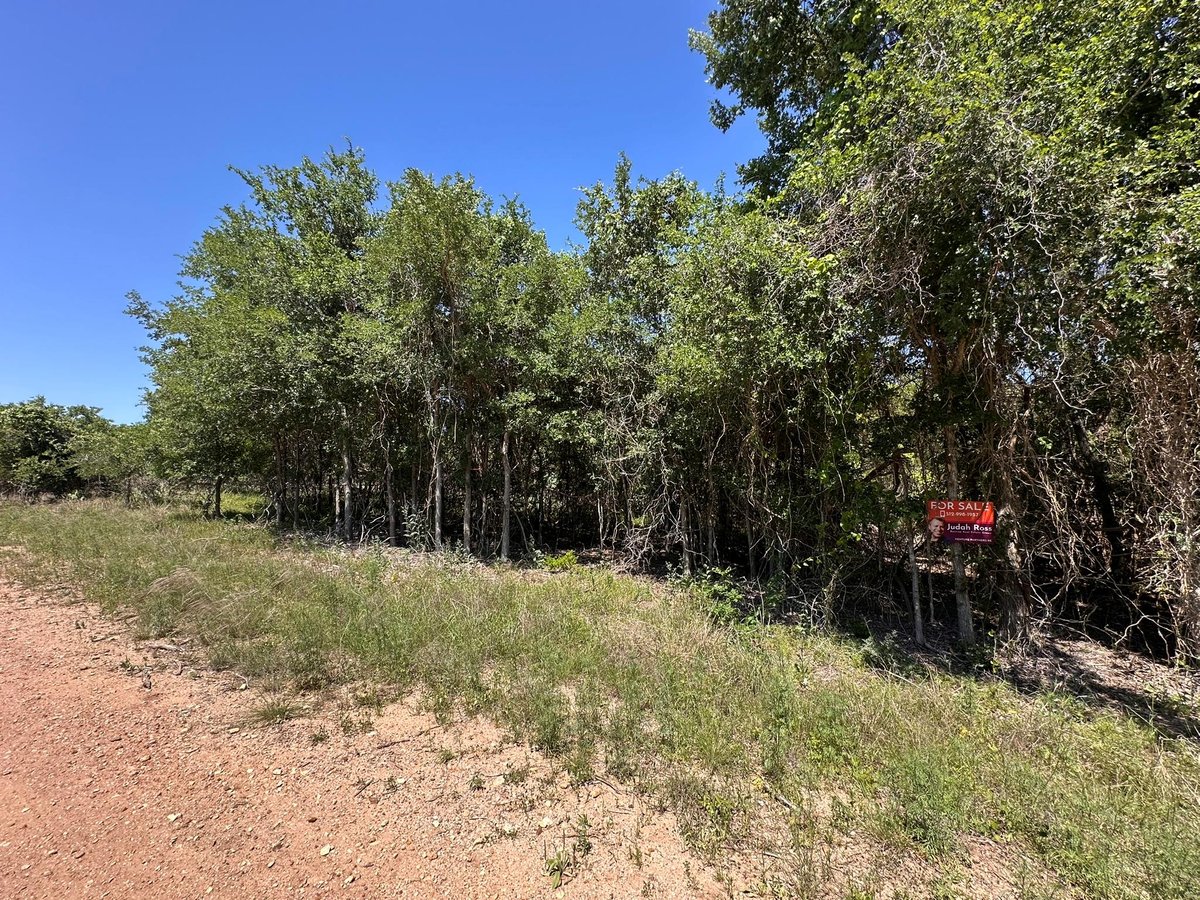 View 258 Kahana Ln in Tahitian Village, 258 Kahana Ln - front exterior - Luxury lot in Tahitian Village,, Bastrop, TX