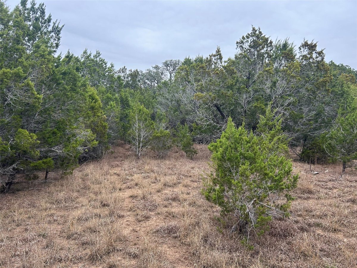 Primary bedroom at 26 Heathrow Ln - Woodcreek Sec 12, Wimberley, TX