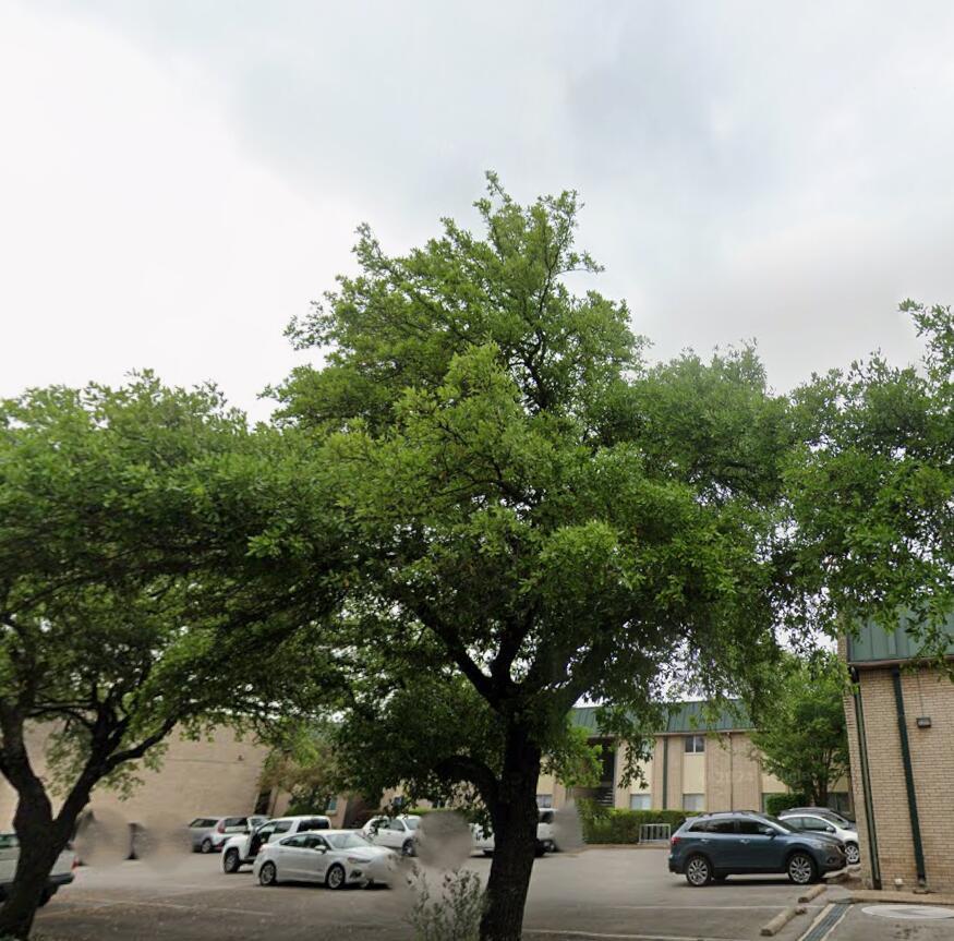 View 2600 Penny Ln Unit #207 in Victoria Square Condo 2600 Penny Ln Unit #207 - front exterior - Luxury home in Victoria Square Condo, Austin, TX