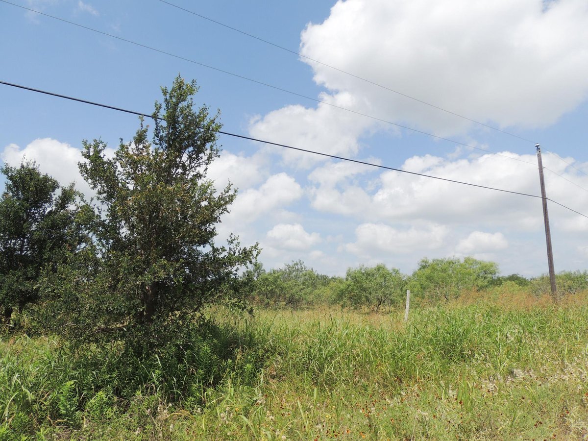 View 265 Linam LN in Welchmeyer, J G 265 Linam LN - front exterior - Luxury home in Welchmeyer, J G, Cedar Creek, TX
