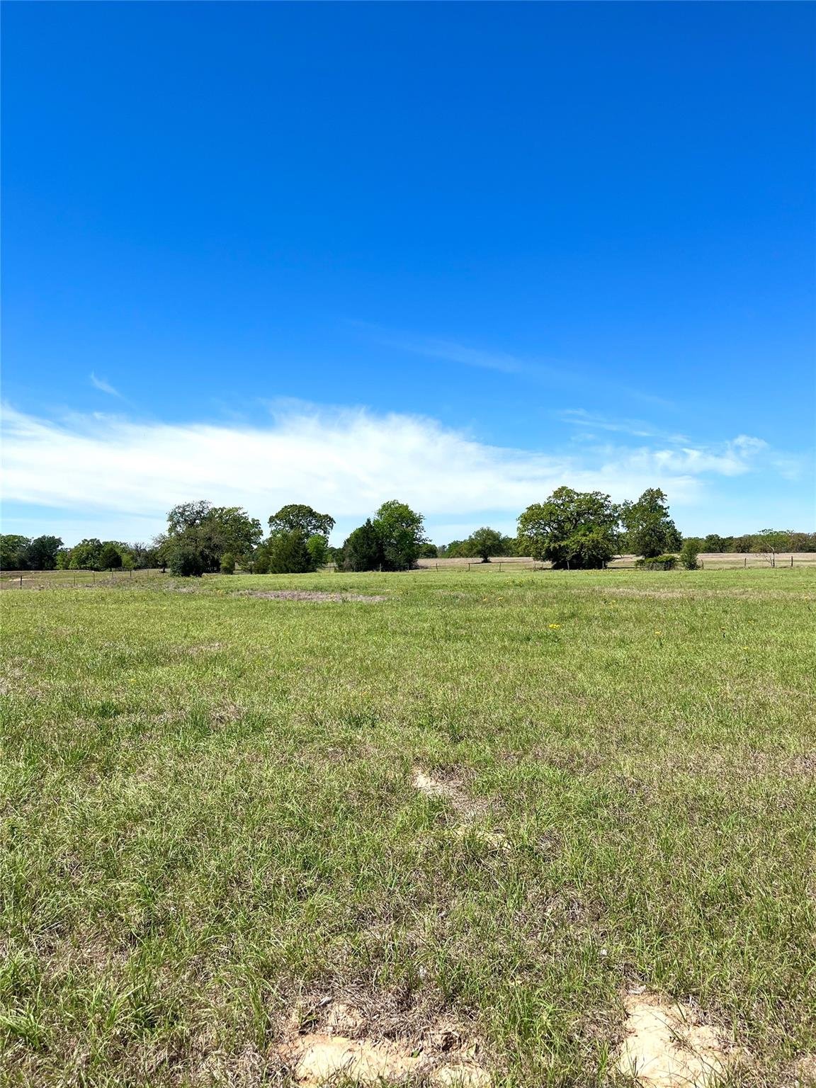 View 2654 County Road 329 in A172 2654 County Road 329 - front exterior - Luxury home in A172, Lincoln, TX