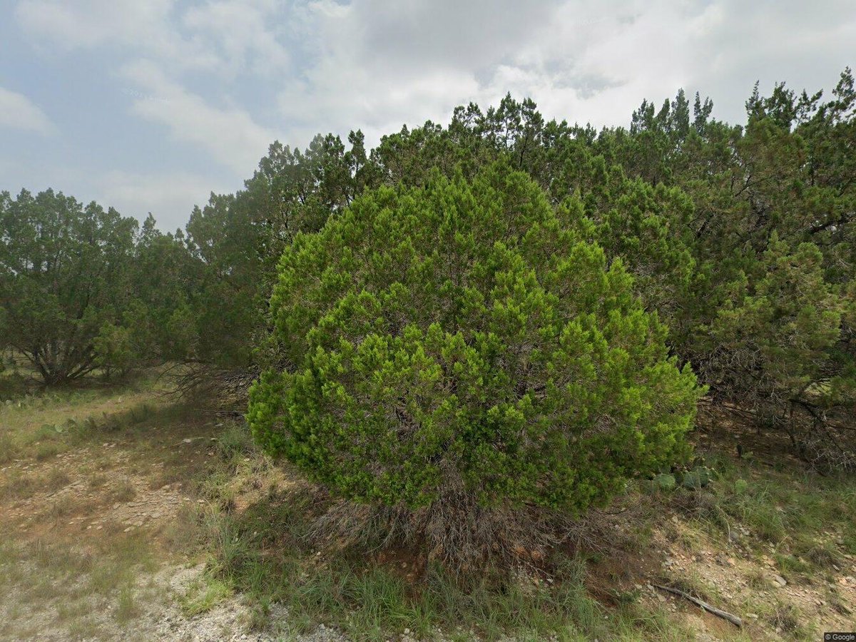 View 2709 Custer Cv in HIGHLAND LAKE ESTATES SEC 7 2709 Custer Cv - property photo 1 - Luxury lot in HIGHLAND LAKE ESTATES SEC 7, Lago Vista, TX