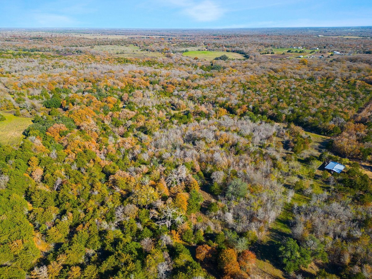 View 272 Deadwood RD in Bymer, Bernard 272 Deadwood RD - property photo 1 - Luxury lot in Bymer, Bernard, Cedar Creek, TX