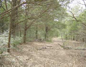 View 273 Pine Vly 273 Pine Vly - front exterior - Luxury lot in Smithville, TX