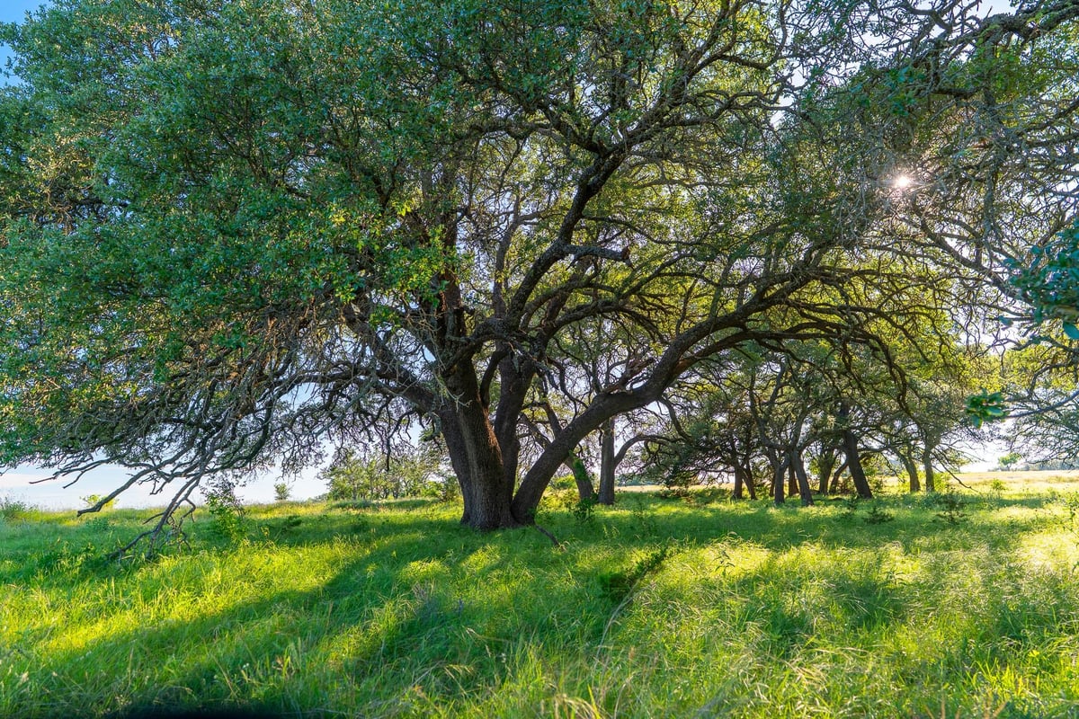 View 28 Feild Ranch RD in Feild Ranch 28 Feild Ranch RD - front exterior - Luxury lot in Feild Ranch, Burnet, TX