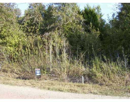 View 280 Keanahalululu LN 280 Keanahalululu LN - property photo 1 - Luxury lot in Bastrop, TX