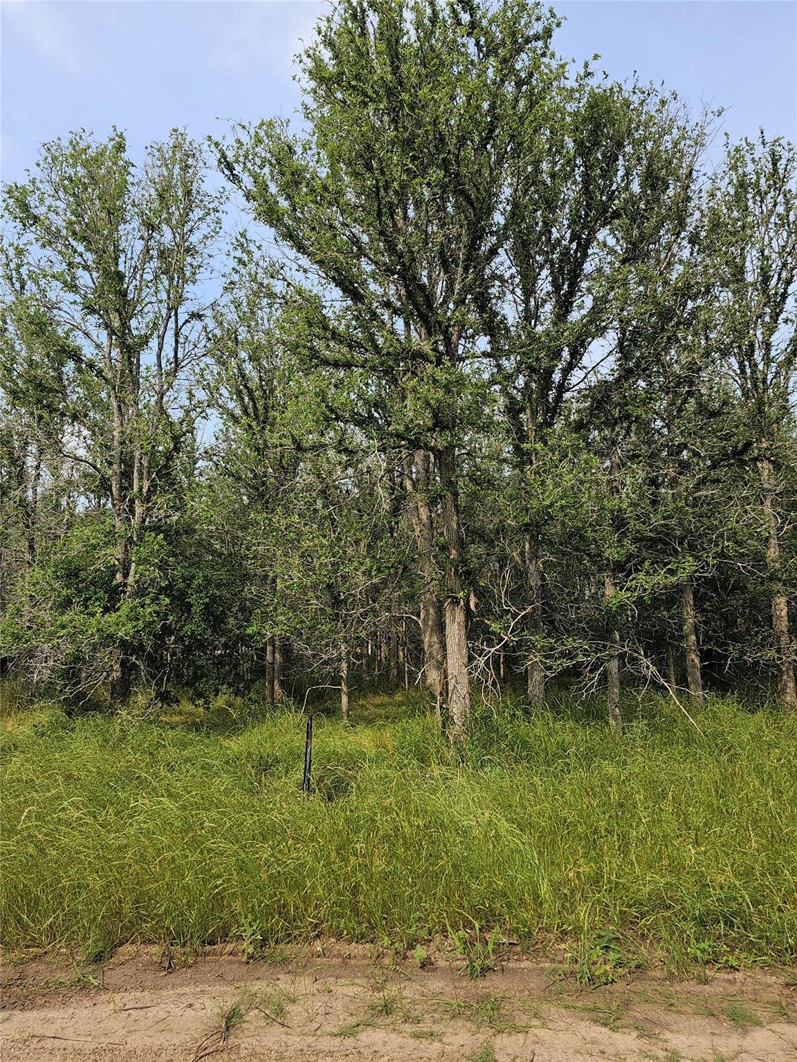 View 288 Kahana Ln in Tahitian Village, 288 Kahana Ln - front exterior - Luxury lot in Tahitian Village,, Bastrop, TX