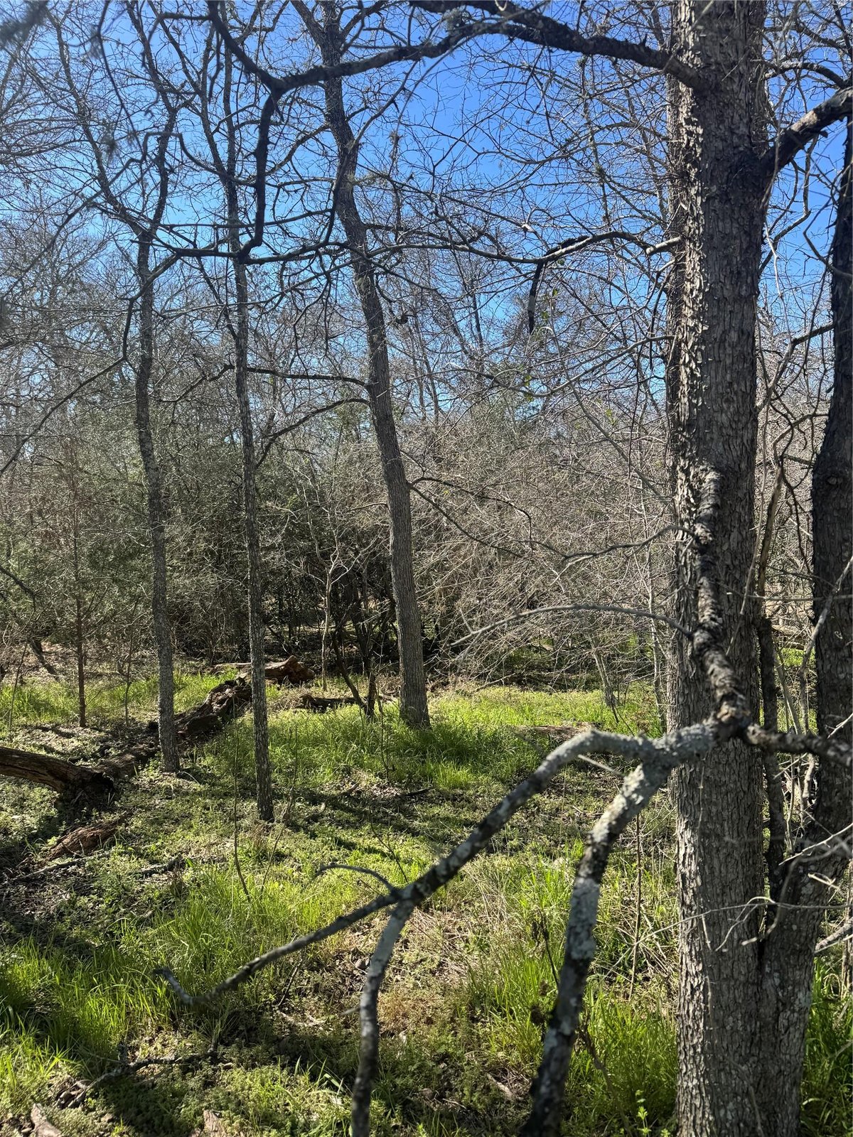 View 289 Iva Ln in Tahitian Village, 289 Iva Ln - front exterior - Luxury lot in Tahitian Village,, Bastrop, TX