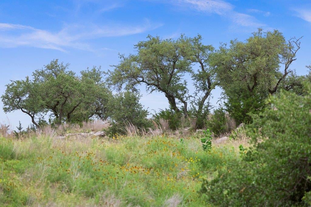View 292 N Scenic Hills CT in Majestic Hills Ranch 292 N Scenic Hills CT - front exterior - Luxury lot in Majestic Hills Ranch, Blanco, TX