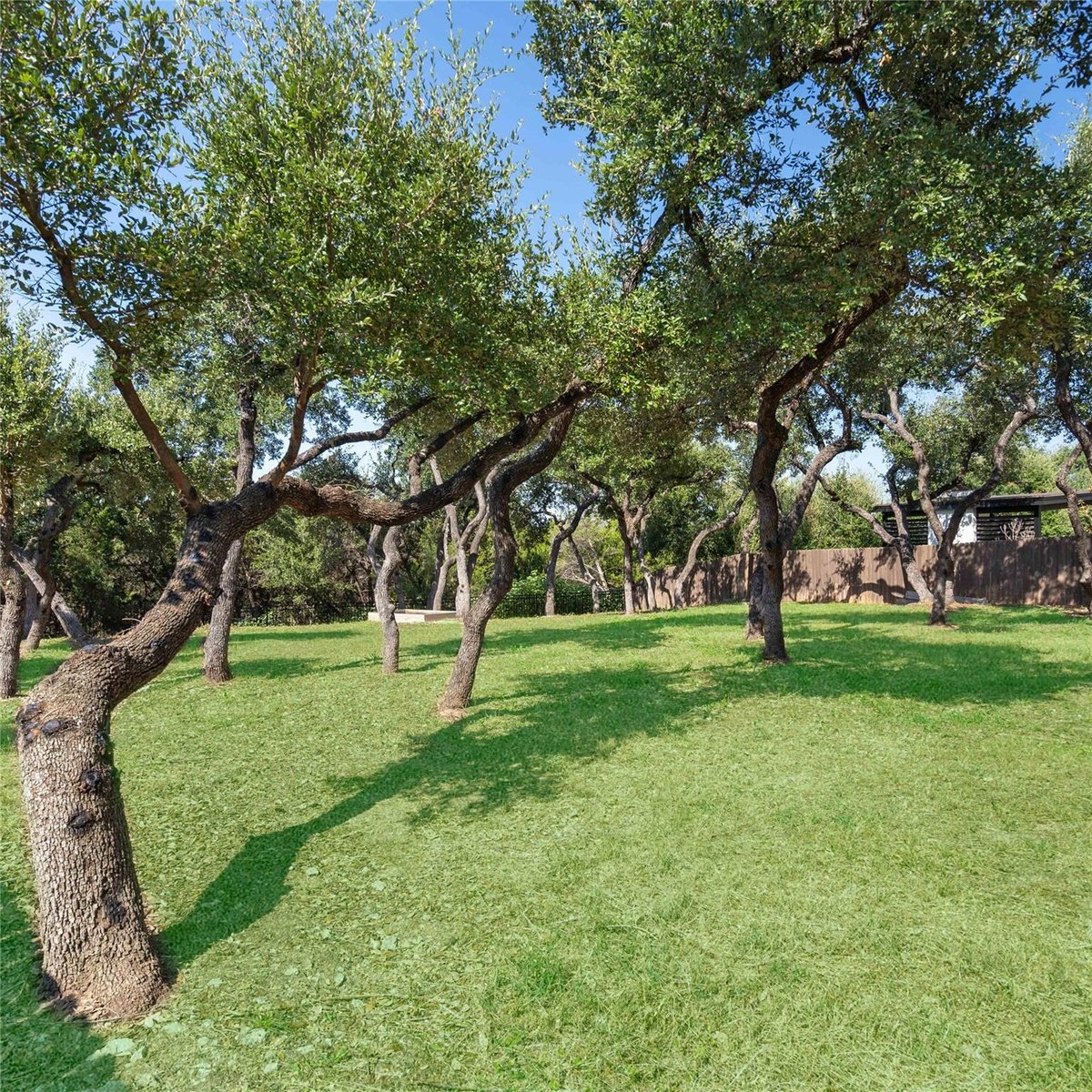 View 296 Encanto Pl in Belterra Sec 20-1 296 Encanto Pl - front exterior - Luxury home in Belterra Sec 20-1, Austin, TX