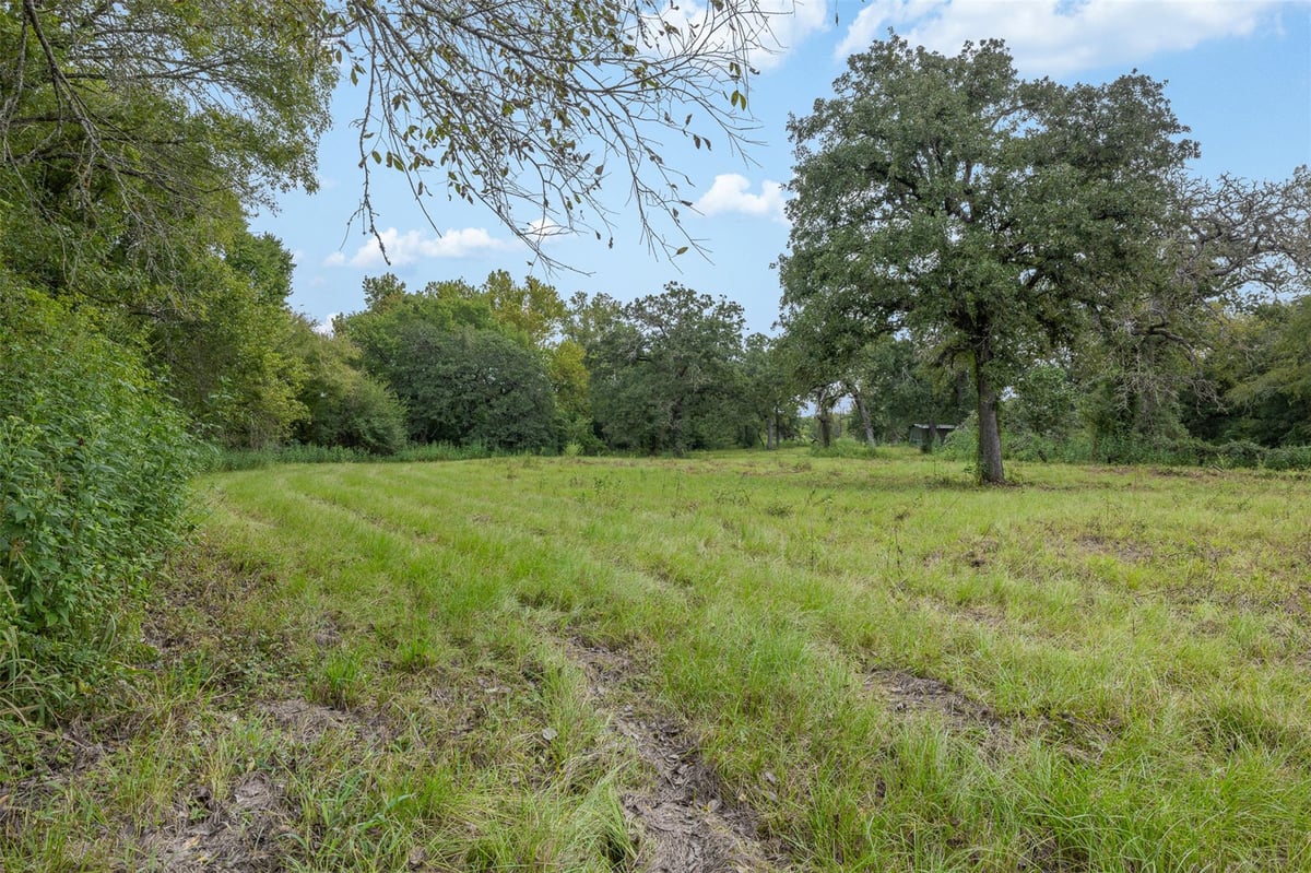 View 2997 County Road 258 in A0160 2997 County Road 258 - front exterior - Luxury home in A0160, Cameron, TX