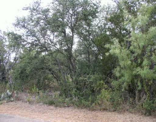 View 3 & 4 Lake View DR 3 & 4 Lake View DR - front exterior - Luxury lot in Spicewood, TX