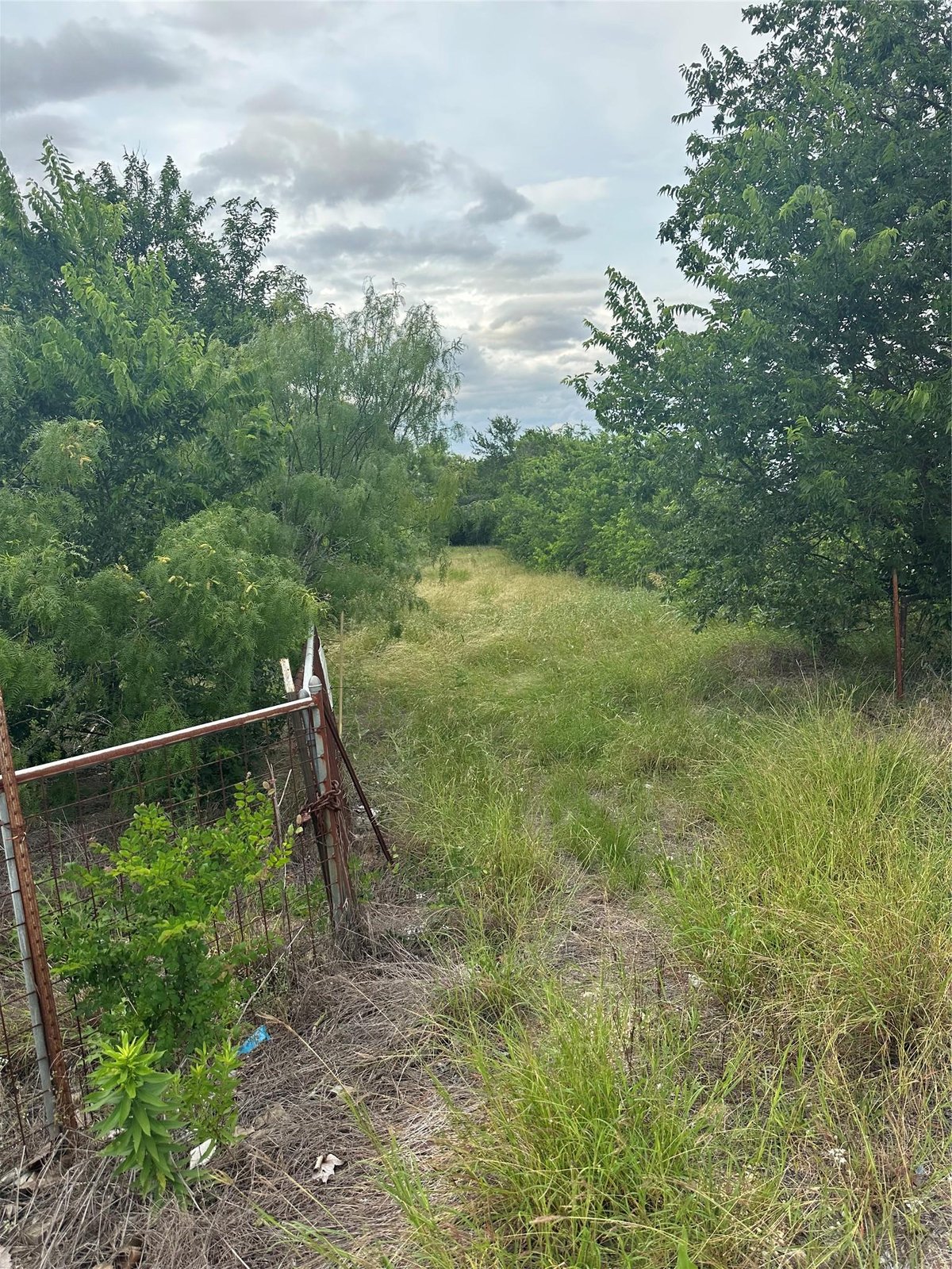 View 3 Lehman RD in AO220 Hinton Survey 3 Lehman RD - front exterior - Luxury lot in AO220 Hinton Survey, Kyle, TX