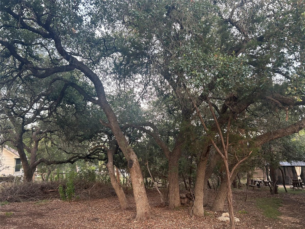 View 3 Wishing Well Ln in Woodcreek Sec 20 3 Wishing Well Ln - property photo 1 - Luxury lot in Woodcreek Sec 20, Wimberley, TX
