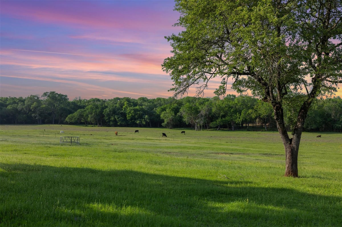 View 3004 County Road 310 in N/A 3004 County Road 310 - front exterior - Luxury home in N/A, Caldwell, TX