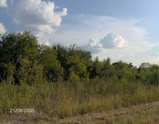 View 3006 Cr 450 3006 Cr 450 - front exterior - Luxury home in Thrall, TX