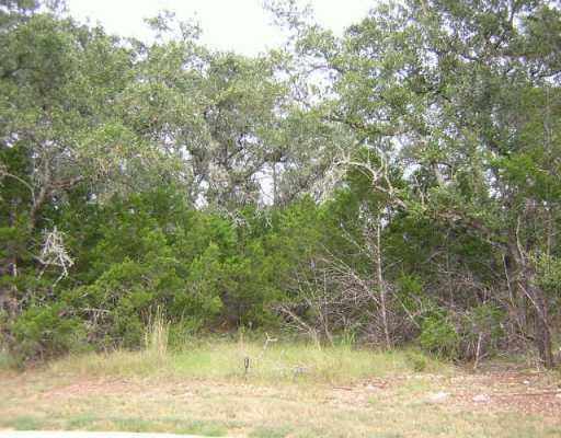 View 3008 Juneau DR 3008 Juneau DR - front exterior - Luxury lot in Cedar Park, TX