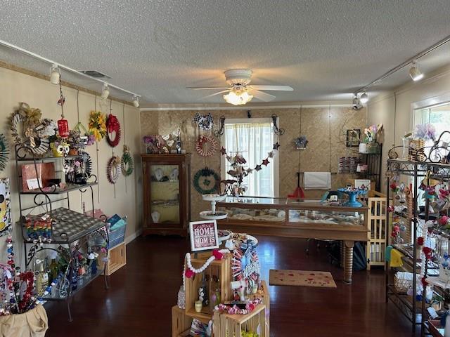 Kitchen at 301 W Pecan St - Pfluger Ernest Add, Pflugerville, TX
