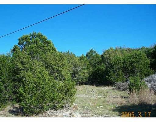 View 303 Cowal Dr 303 Cowal Dr - front exterior - Luxury lot in Briarcliff, TX