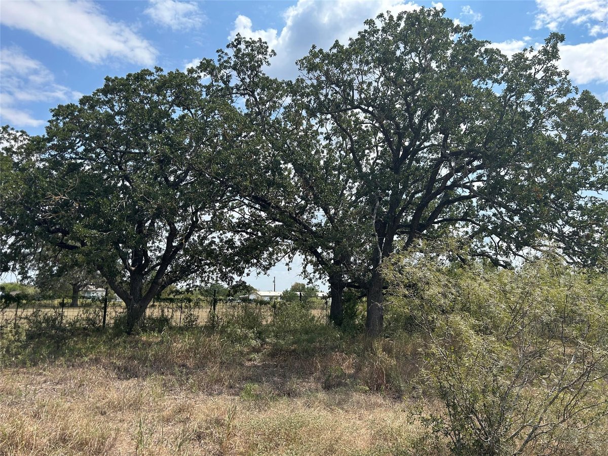 View 303 Walter Hoffman Rd in ABS A French Samuel, 3.45 acres 303 Walter Hoffman Rd - property photo 1 - Luxury lot in ABS A French Samuel, 3.45 acres, Cedar Creek, TX