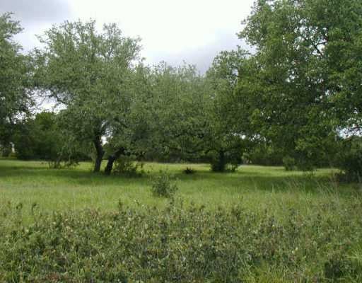 View 306 Saddletree LN 306 Saddletree LN - front exterior - Luxury lot in Dripping Springs, TX