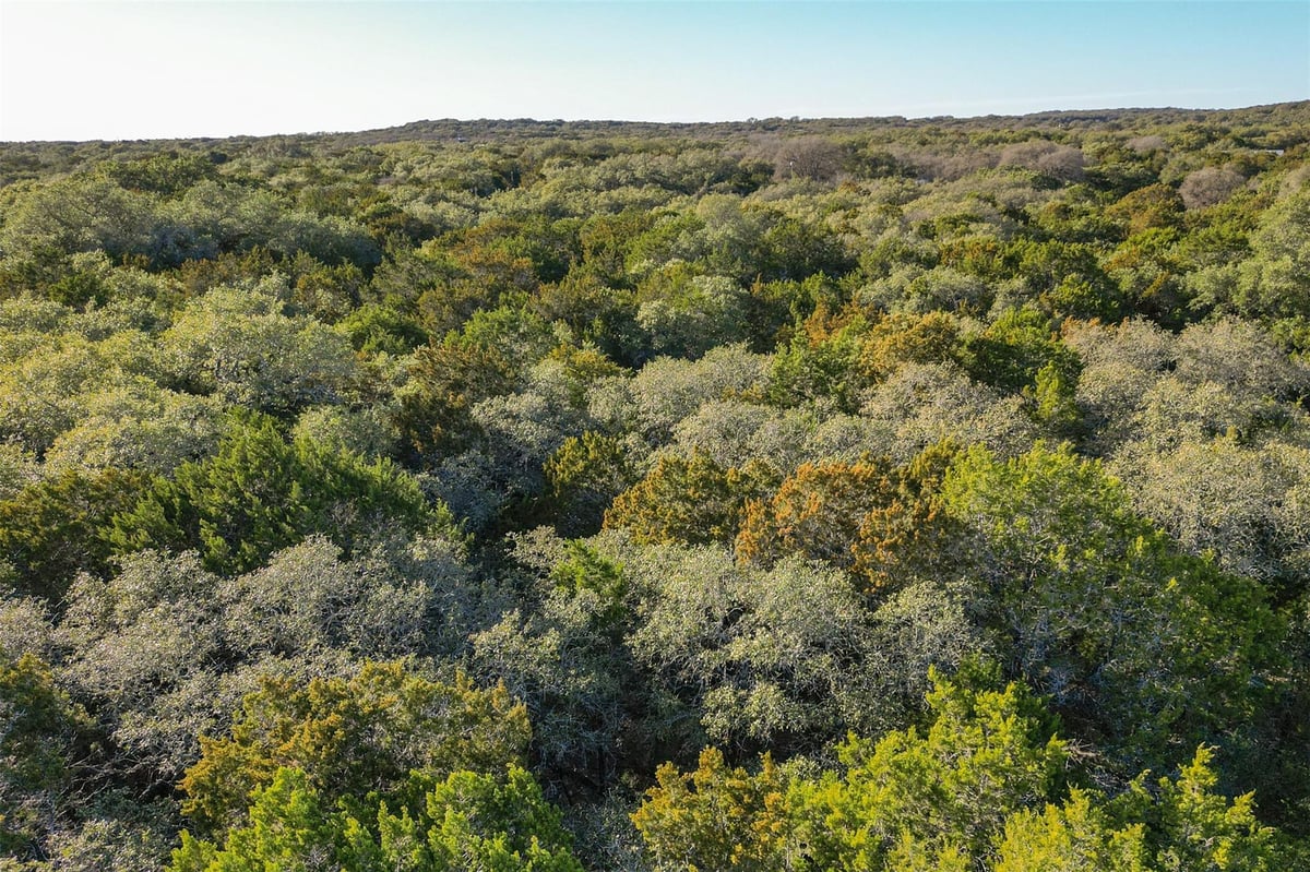 View 308 Ridge Oak Dr in River Oaks Of Wimberley Unit 1 308 Ridge Oak Dr - front exterior - Luxury lot in River Oaks Of Wimberley Unit 1, Wimberley, TX