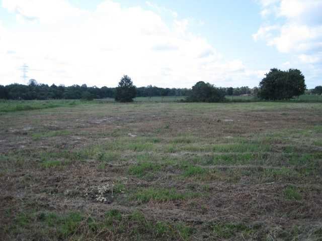 View 309 Cistern RD 309 Cistern RD - front exterior - Luxury home in Rosanky, TX