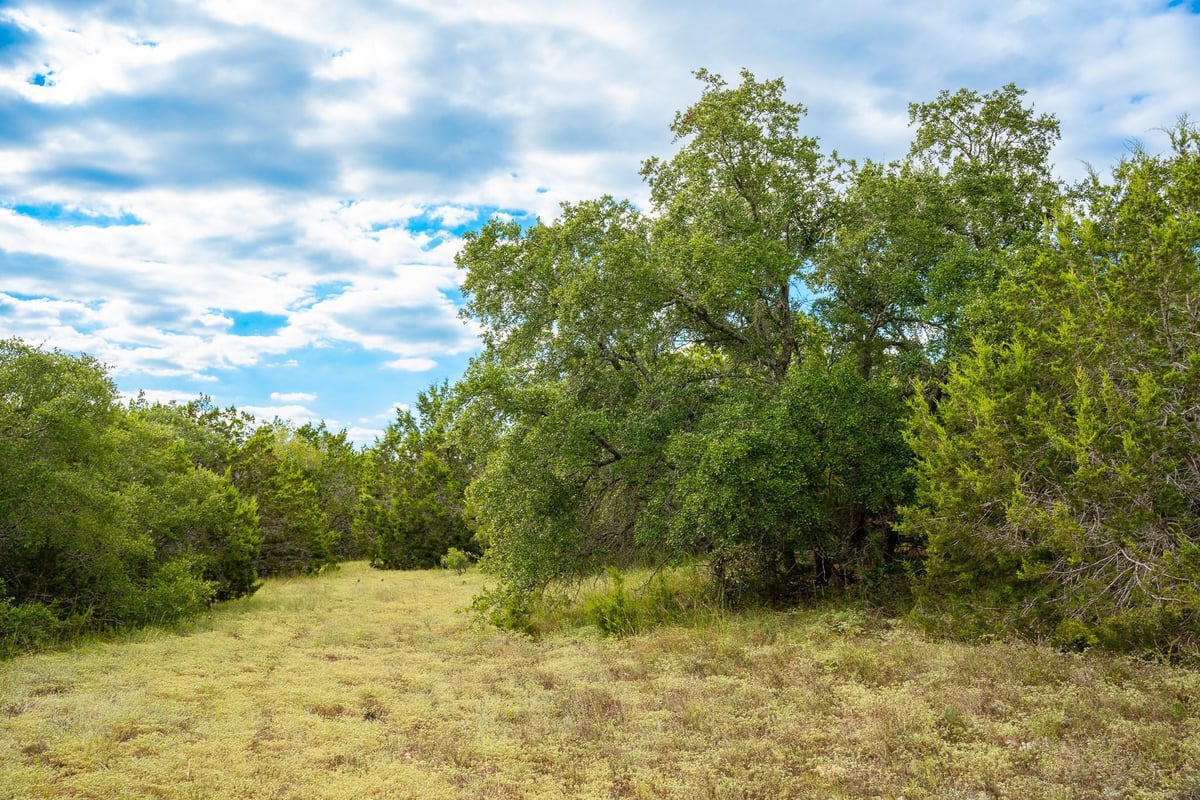 31171 Ranch Road 12 - front exterior - Luxury lot in Barton Creek Ranch, Dripping Springs, TX