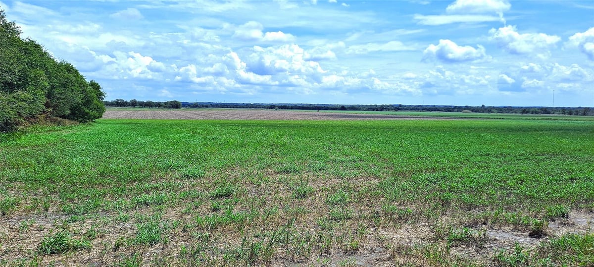 3135 CR 432 Rd - front exterior - Luxury lot in A0010 - ACOSTA, JUAN JOSE, Thorndale, TX