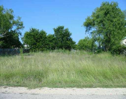 View 317 Susan DR 317 Susan DR - front exterior - Luxury lot in Buda, TX