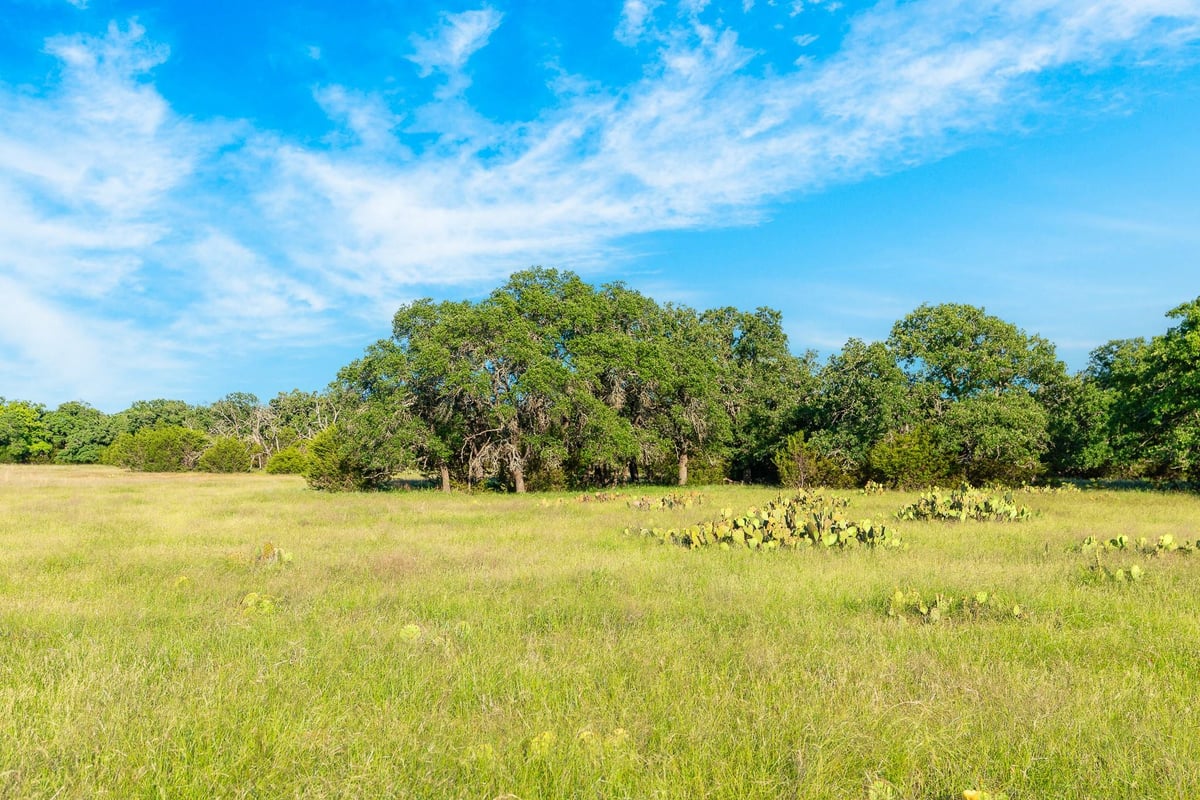 View 32 Feild Ranch RD in Feild Ranch 32 Feild Ranch RD - front exterior - Luxury lot in Feild Ranch, Burnet, TX