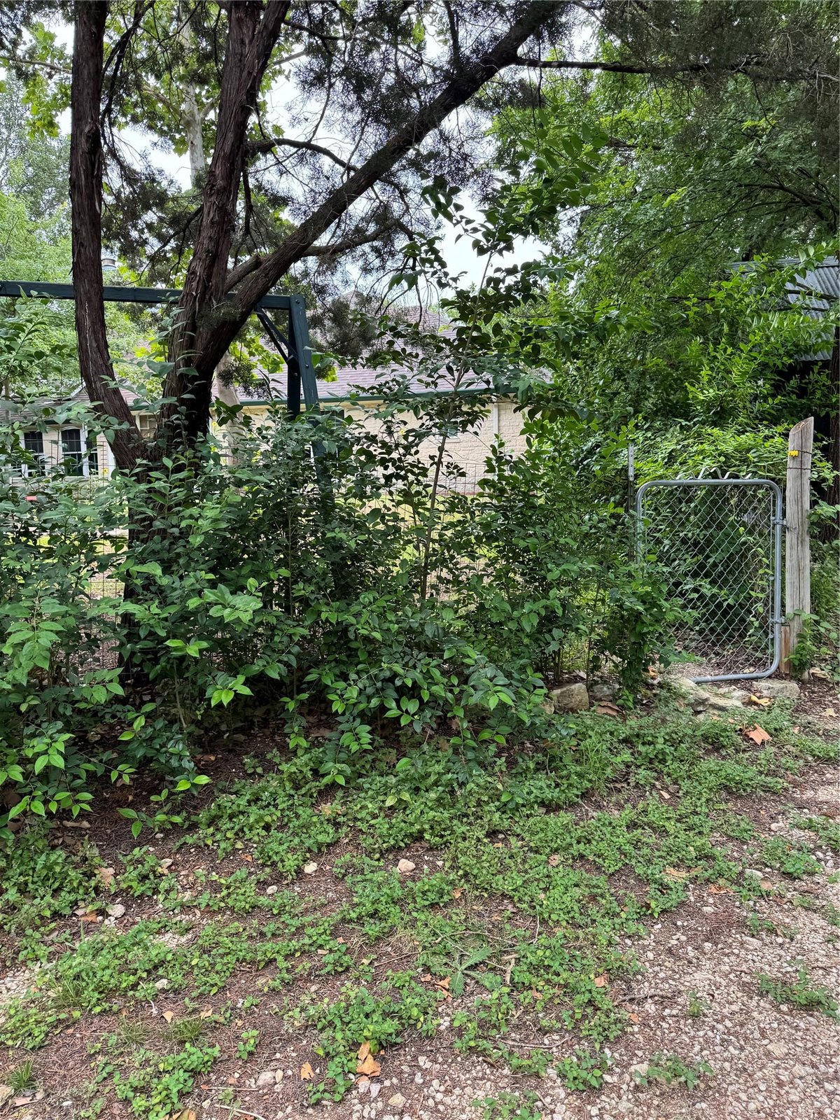 Primary bedroom at 3201 Little Nolan Rd - WH Cole, Killeen, TX