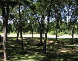 View 325 Rowe Valley Dr 325 Rowe Valley Dr - front exterior - Luxury lot in Taylor, TX