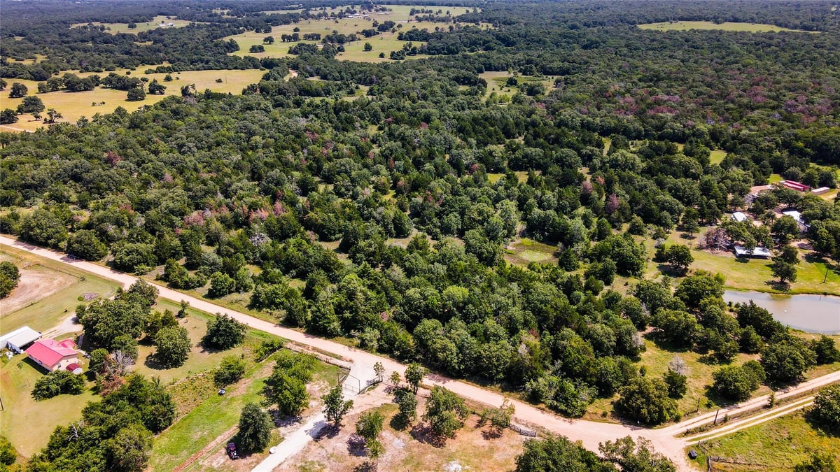 View 333 County Road 250A in Milam Ranches 333 County Road 250A - front exterior - Luxury home in Milam Ranches, Cameron, TX