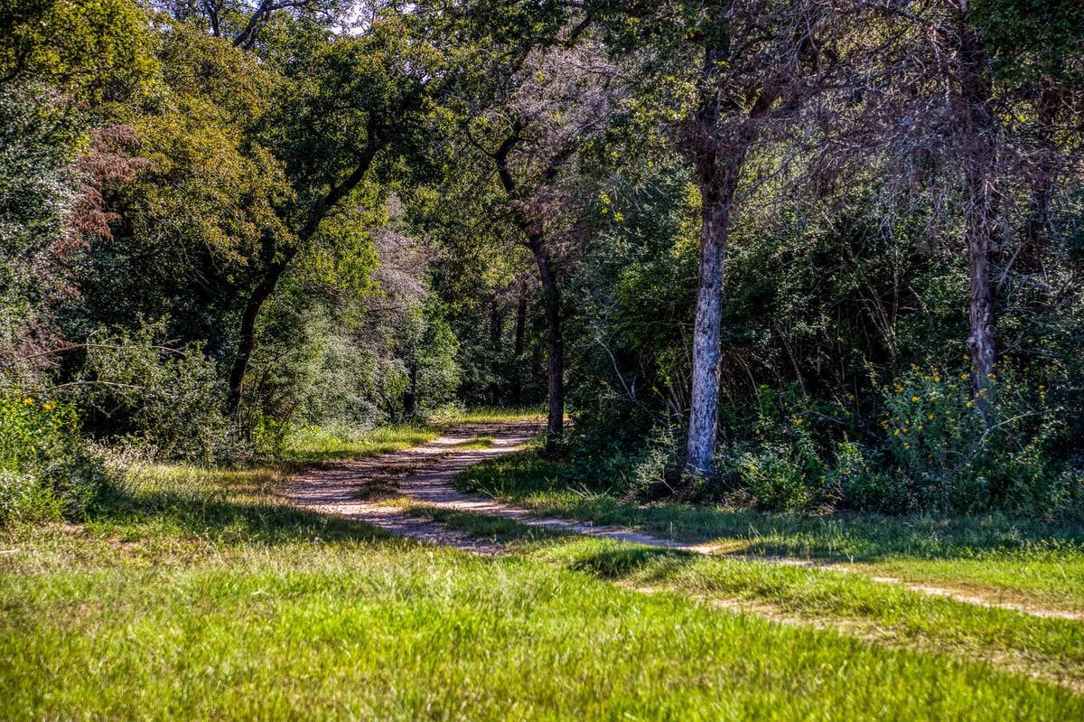 View 3336 County Road 326 in Other 3336 County Road 326 - front exterior - Luxury home in Other, Lexington, TX