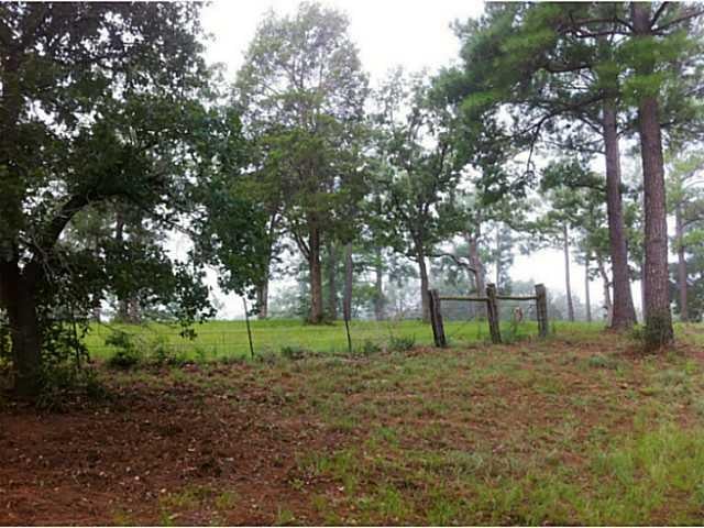 View 338 Copeland Hill RD 338 Copeland Hill RD - front exterior - Luxury home in Smithville, TX