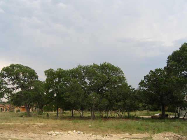 View 3411 Pearce RD 3411 Pearce RD - front exterior - Luxury lot in Austin, TX