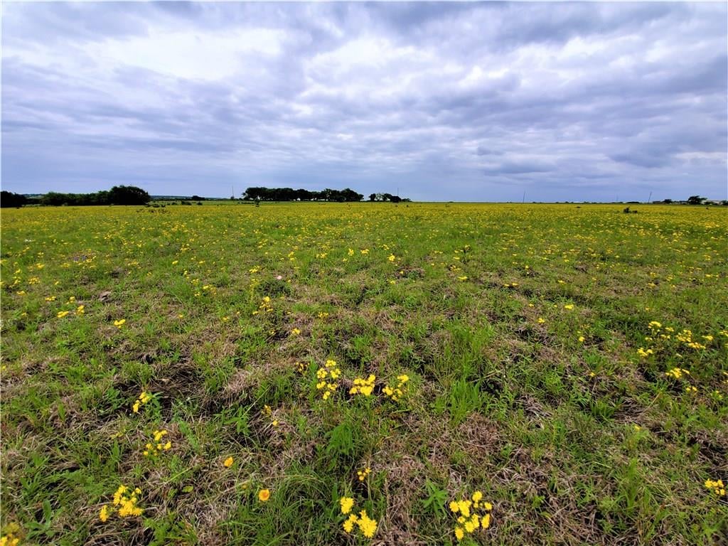 View 3500a FM 970 3500a FM 970 - front exterior - Luxury home in Florence, TX