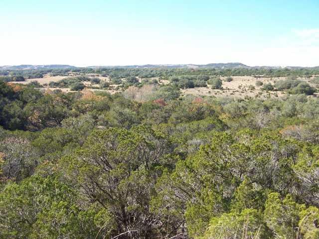 View 3501 Rolling Hills RD 3501 Rolling Hills RD - front exterior - Luxury home in Blanco, TX