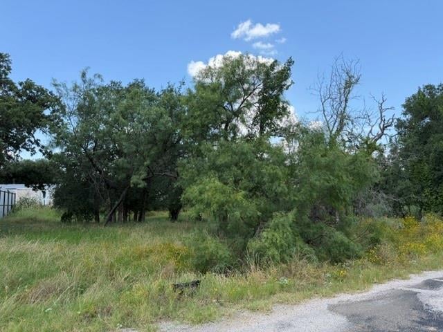 View 3523 Cactus TRL in Lakeside Heights 3523 Cactus TRL - front exterior - Luxury lot in Lakeside Heights, Kingsland, TX