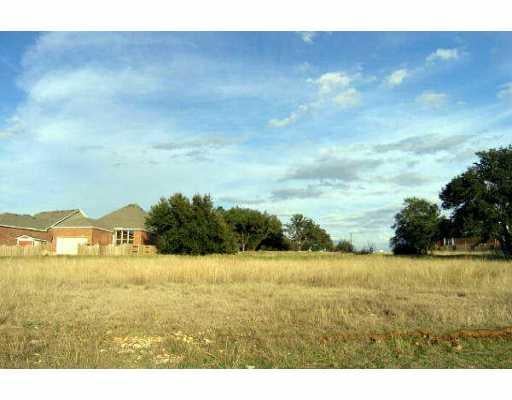 View 356 Westbury LN 356 Westbury LN - front exterior - Luxury lot in Georgetown, TX