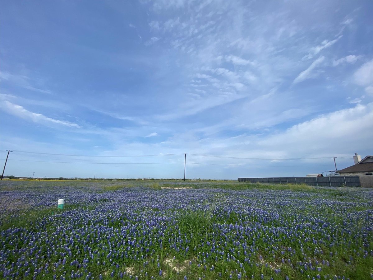 View 360 Meadow Valley Loop in Rolling Hill Meadow 360 Meadow Valley Loop - front exterior - Luxury lot in Rolling Hill Meadow, Jarrell, TX