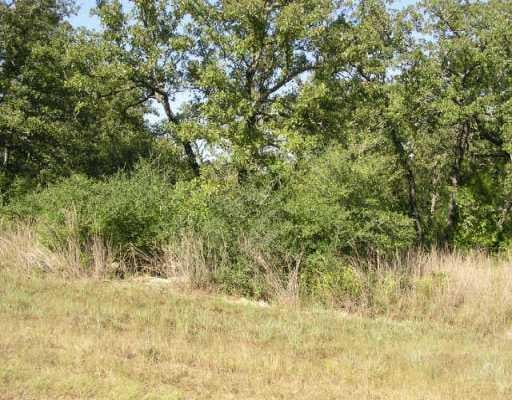View 3605 Roosevelt CV 3605 Roosevelt CV - front exterior - Luxury lot in Lago Vista, TX