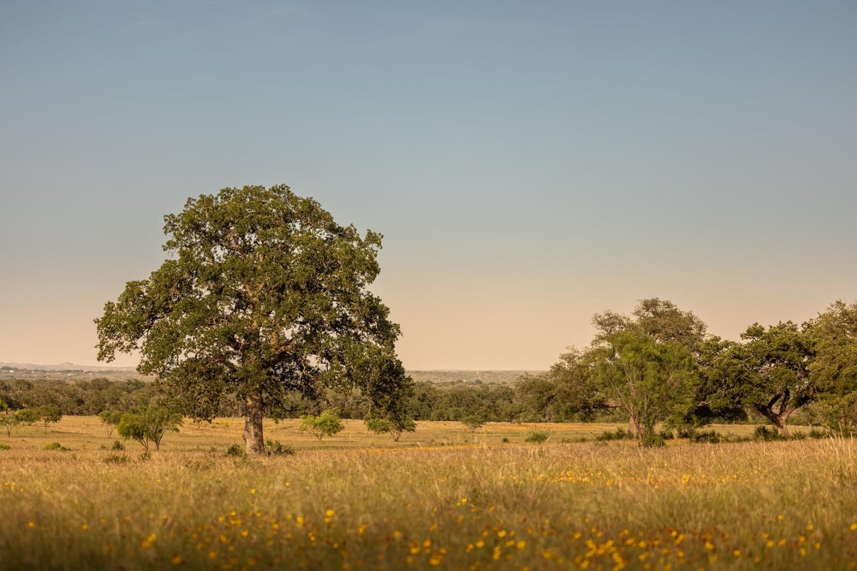 View 365 Gipson Rd in none 365 Gipson Rd - view with Hill Country views - Luxury home in none, Johnson City, TX